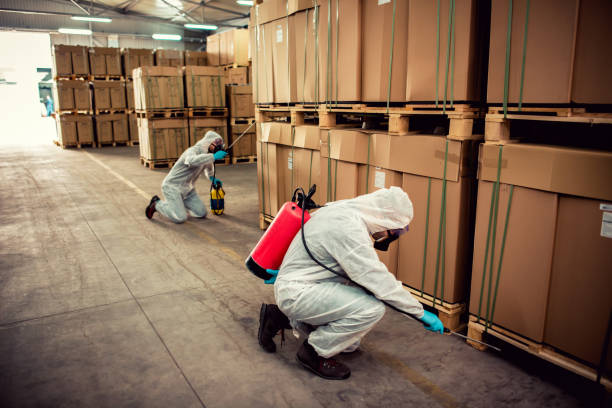 Best Pest Removal Services  in Lawson, MO