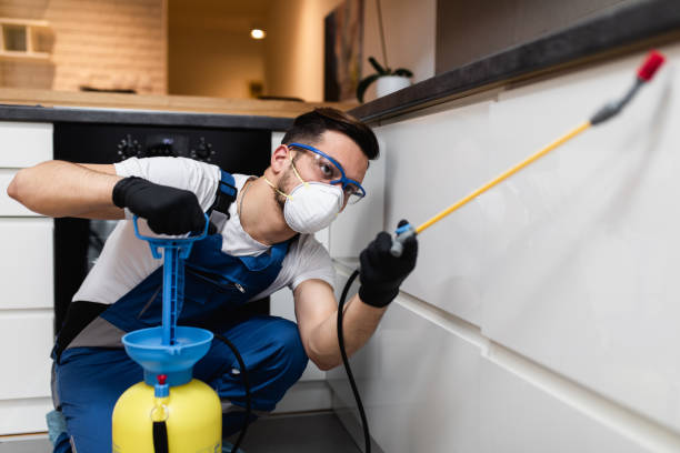Best Flea Control Services  in Lawson, MO