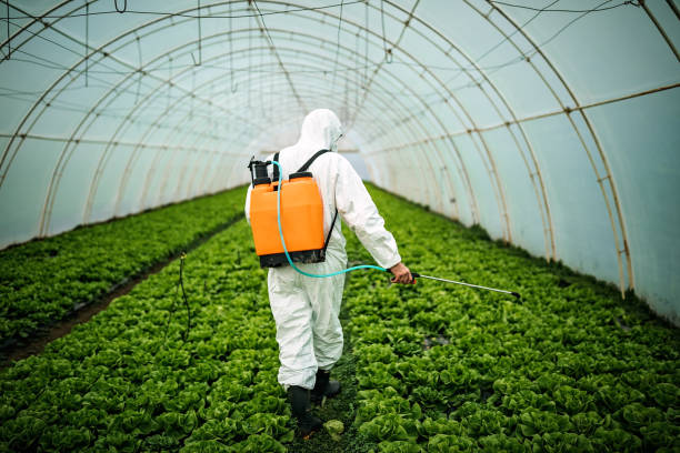 Pest Prevention Services in Lawson, MO