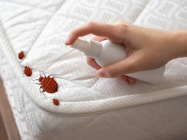 Trusted Lawson, MO Pest Control Experts