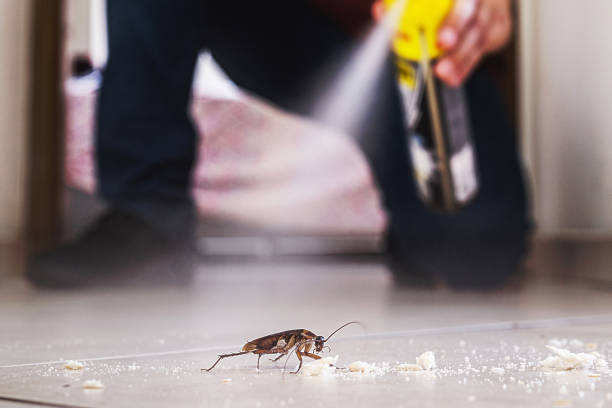 Pest Control Cost in Lawson, MO